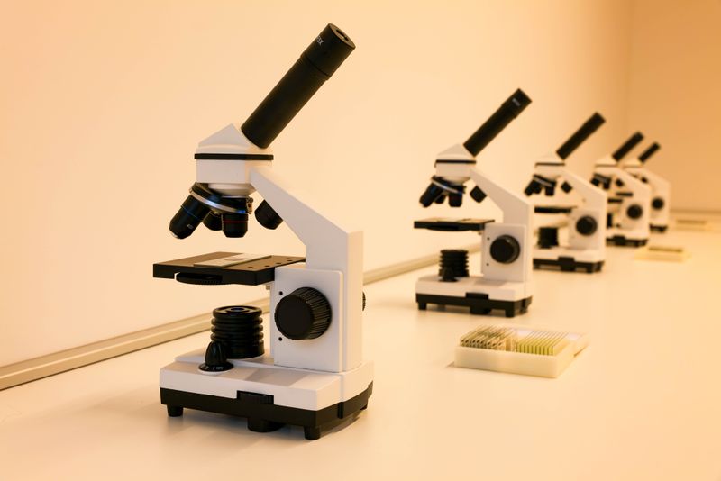 Stanford medical school research opportunities through the SIMR program lab setting